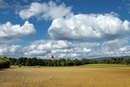 Landwirtschaft – typische Risiken absichern
